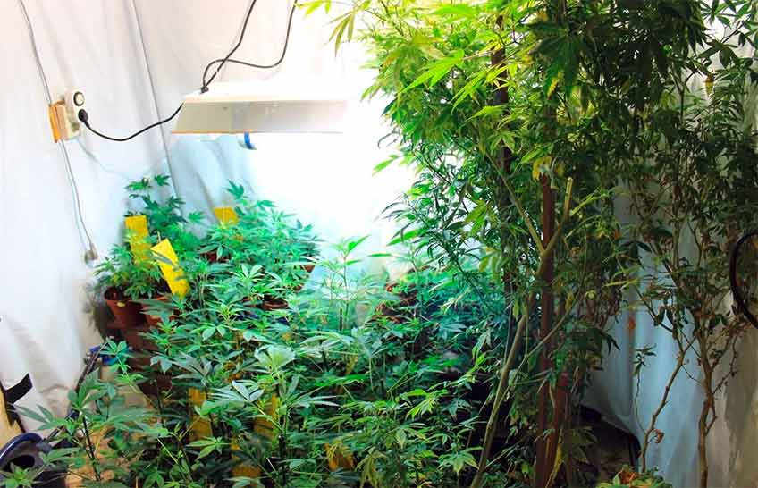 Bei einer Hausdurchsuchungen in Minden-Mei&szlig;en wurden die Ermittler f&uuml;ndig.