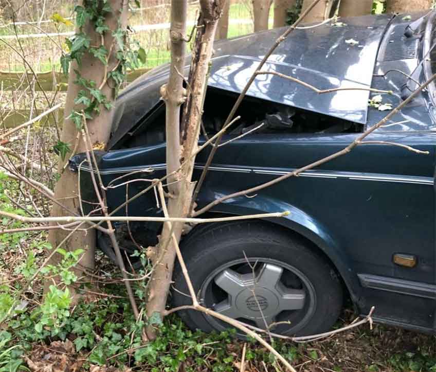 Der Wagen des 55-J&auml;hrigen prallte gegen mehrere kleine B&auml;ume.