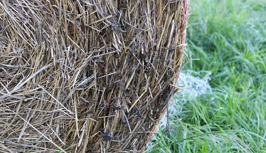 Unbekannte versuchten offenbar Strohballen zu entz&uuml;nden.
