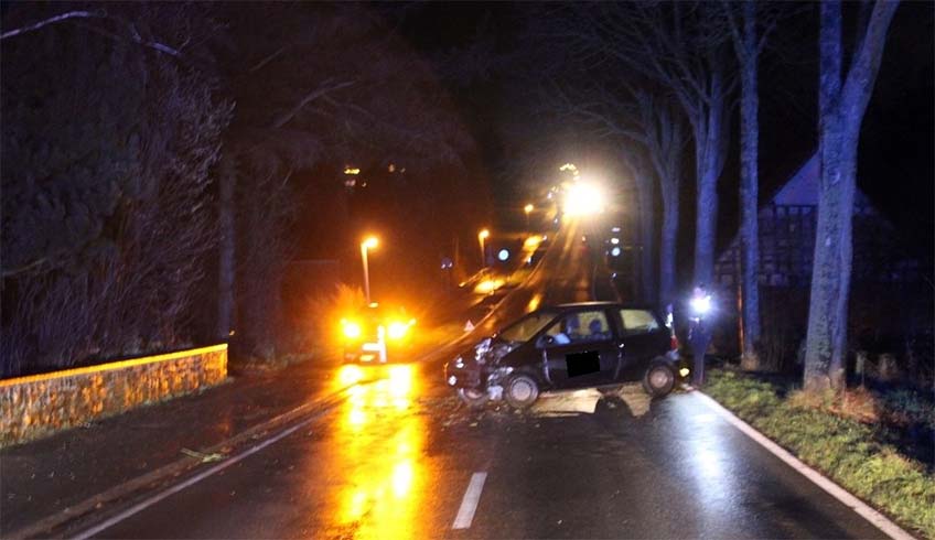 Tier ausgewichen: Auto prallt frontal gegen Baum Der Twingo kam nach dem Aufprall gegen den Baum quer auf der Holsener Straße zum Stehen.