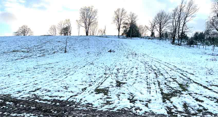 NSG Kleiner Selberg Schlittenverbot