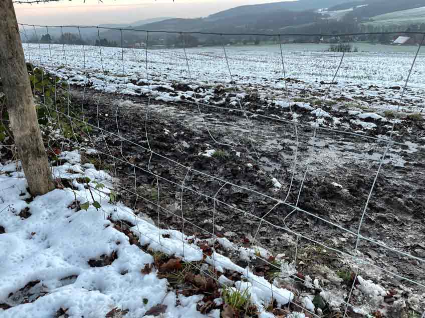 NSG Kleiner Selberg Schlittenverbot