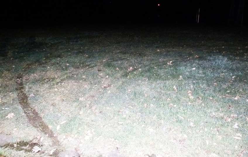 Die Unbekannten drehten auf der Rasenfl&auml;che Kreise.