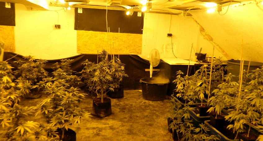 20210508 hallo luebbecke drogen