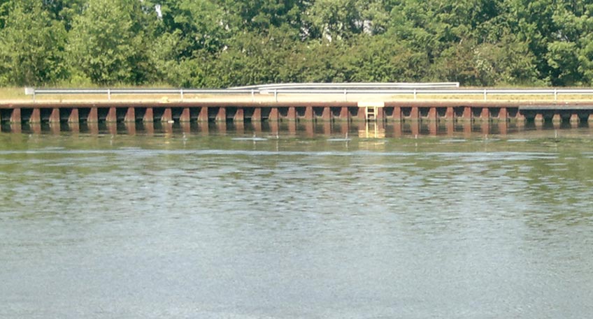 Am Mittellandkanal im Bereich Alswede / Fiestel wurde ein erh&ouml;htes Vorkommen an Cyanobakterien, den sogenannten &bdquo;Blaualgen" nachgewiesen. Das haben Proben des Landesamts f&uuml;r Natur, Umwelt und Verbraucherschutz Nordrhein-Westfalen (LANUV) aktuell ergeben.