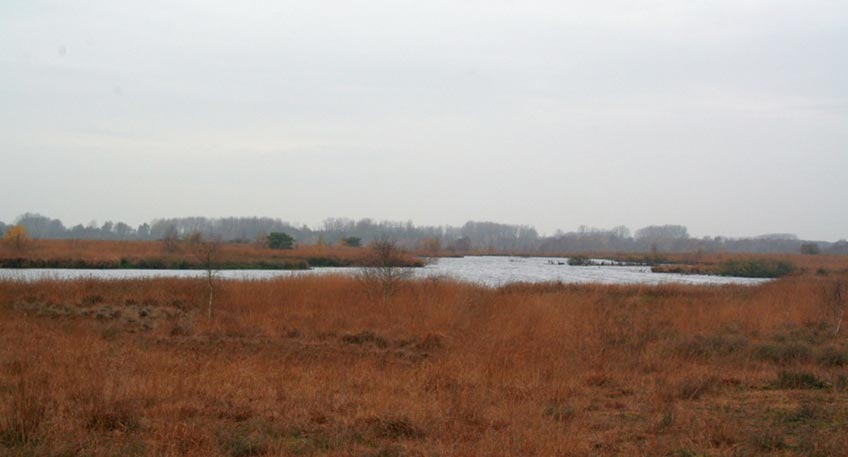 20211103 hallo luebbecke moor sandra meier