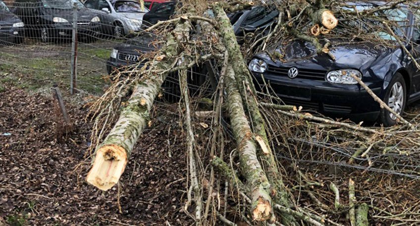 Das Sturmtief Ylenia hat den Einsatzkr&auml;ften von Polizei und Feuerwehr im ganzen Kreisgebiet wie berichtet eine ereignisreiche Nacht verschafft. Bis etwa 11.00 Uhr z&auml;hlten die Leitstellenbeamten seit dem fr&uuml;hen Mittwochabend nahezu 80 witterungsbedingte Eins&auml;tze.