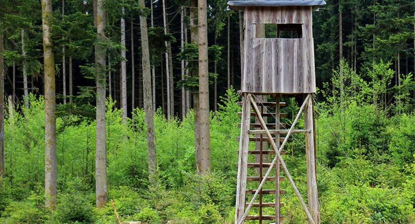 Die Termine f&uuml;r die n&auml;chste J&auml;gerpr&uuml;fung, deren Bestehen f&uuml;r die Erteilung des ersten Jagdscheines erforderlich ist, werden auf folgende Tage festgesetzt