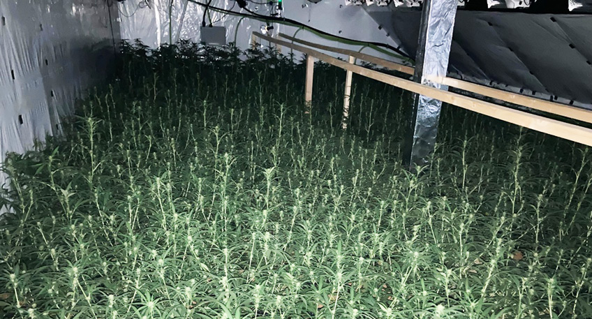 20220428 hallo luebbecke drogen 01