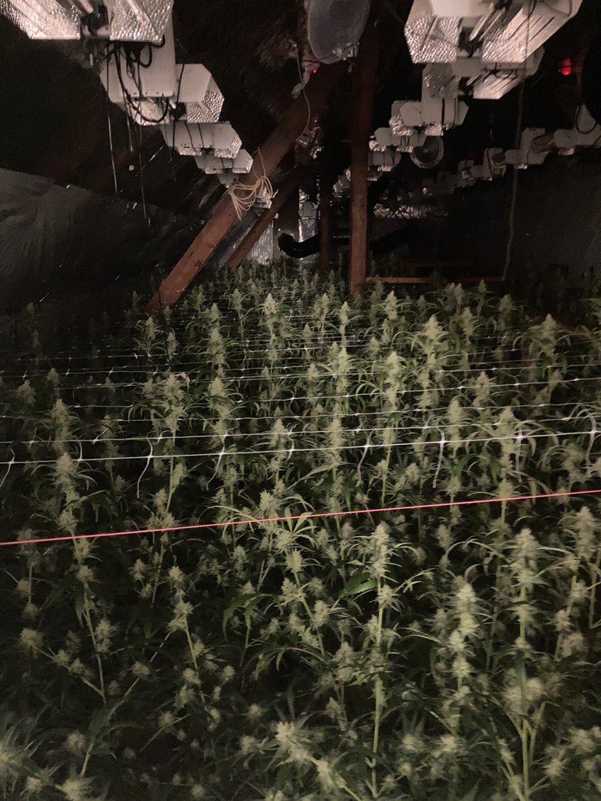 20220428 hallo luebbecke drogen 01