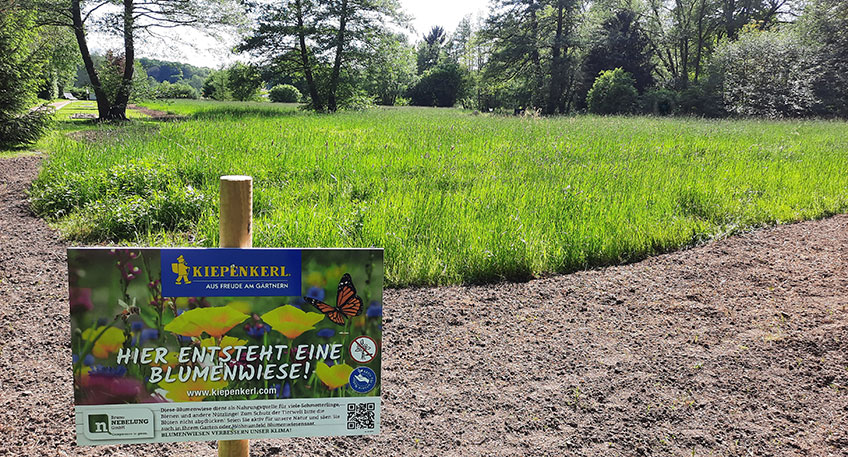 20220524 hallo luebbecke wiese