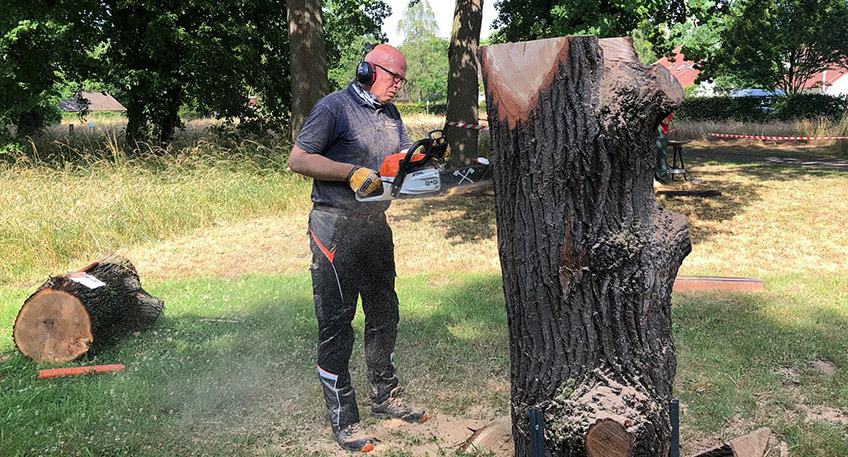 Ende Juni fand zum ersten Mail ein Skulpturensymposium am Schlosspark statt. Besucher konnten f&uuml;nf K&uuml;nstlern &uuml;ber die Schultern schauen und haben erlebt, dass es harte und konzentrierte Arbeit bedeutet, um in nur drei Tagen Skulpturen in diesem Format zu erstellen