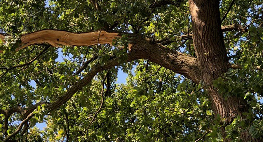 20220820 hallo luebbecke ast 00