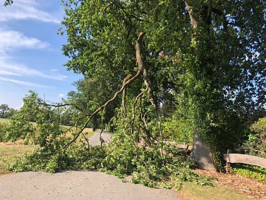 20220820 hallo luebbecke ast 00