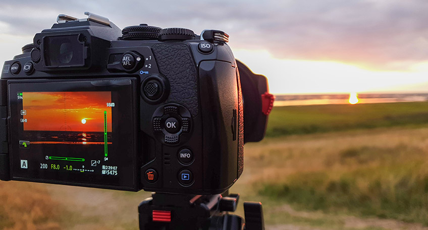 Nur noch wenige Pl&auml;tze sind frei im Fotokurs, den das NABU Besucherzentrum Moorhus gemeinsam mit den beiden Naturfotografen Friedhelm Biell und Gerd-Heinrich Nahrwold am kommenden Sonntag, 28.08.2022 anbietet.