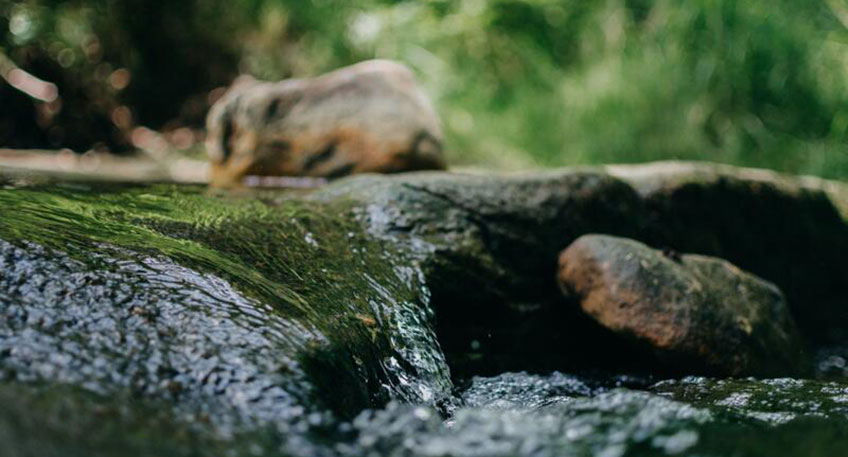 20220803 hallo luebbecke aue