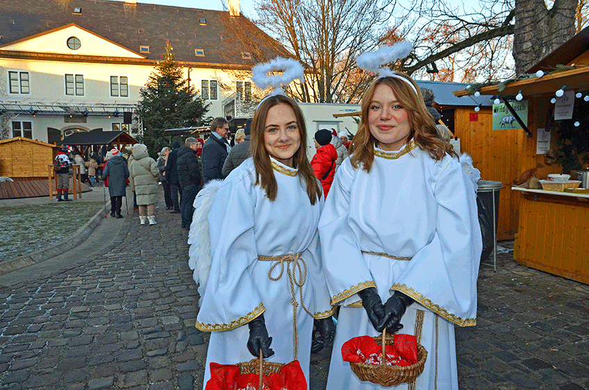 20221221 hallo luebbecke winterschloss 01