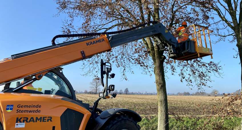 https://www.hallo-luebbecke.de/data/Bildarchiv/2022/202212_Dezember/20221225_hallo_minden_stemwede_baumschnitt_01.jpg