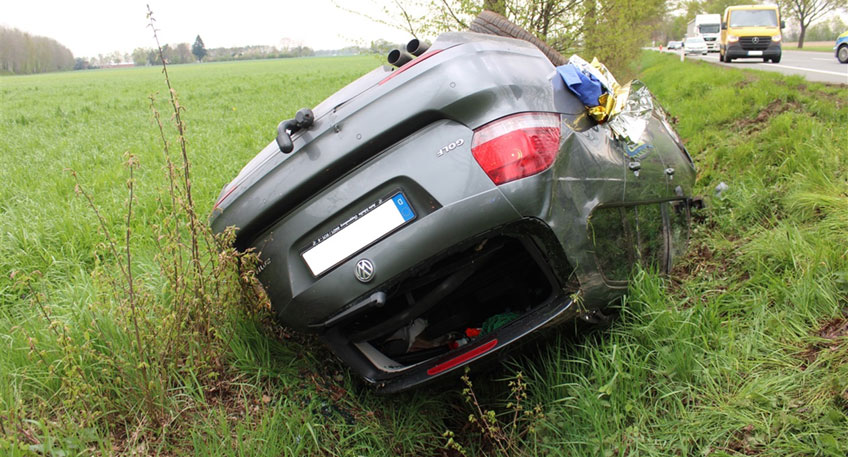 20230425 hallo minden mai green 00