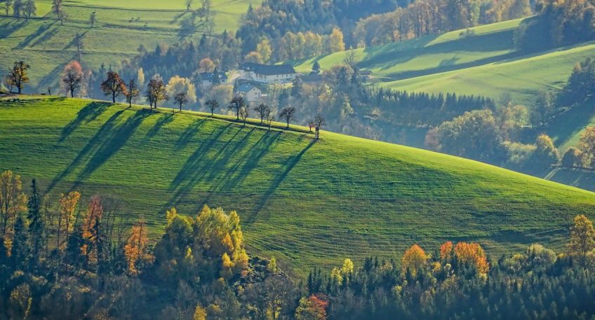 https://www.hallo-luebbecke.de/data/Bildarchiv/2023/202307_Juli/20230712_hallo_minden_landschaft_pixabay.jpg