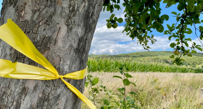 20230827_hallo_minden_stemwede_gelbes_Band_01