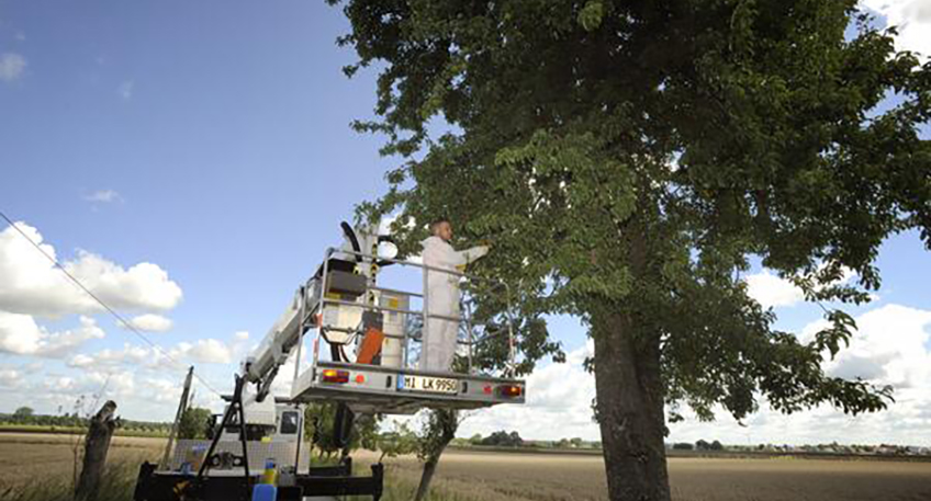 20230906 hallo luebbecke feuerbrand