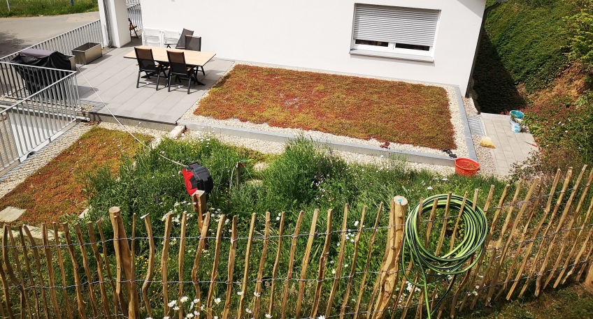 https://www.hallo-luebbecke.de/data/Bildarchiv/2025/202508_August/20250820_hallo_minden_kreis_garten_challenge_bernotat.jpg