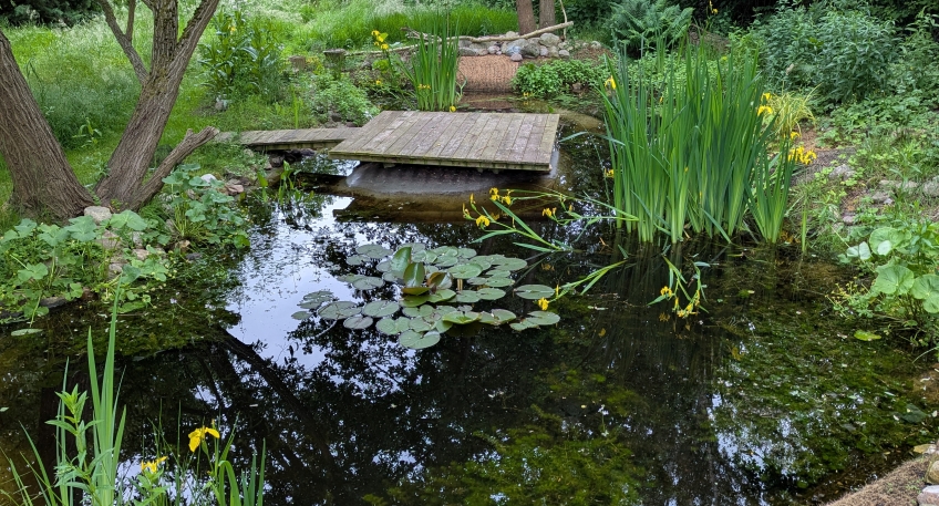 https://www.hallo-luebbecke.de/data/Bildarchiv/2025/202508_August/20250820_hallo_minden_kreis_garten_challenge_bosch.jpg
