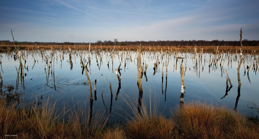 https://www.hallo-luebbecke.de/data/Bildarchiv/2025/202510_Oktober/20251015_hallo_minden_moor_pixabay.jpg