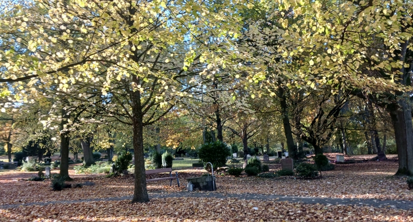 https://www.hallo-luebbecke.de/data/Bildarchiv/2025/202510_Oktober/20251026_hallo_minden_lubbecke_marketing_Herbststimmung_auf_dem_Lubbecker_Friedhof_Ulrike_Kopper.jpg