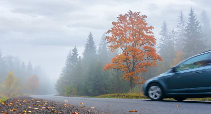 https://www.hallo-luebbecke.de/data/Bildarchiv/2026/202610_Oktober/20261025_hallo_minden_TNM-Auto-in-Kurve_AdobeStock_280869109.jpg