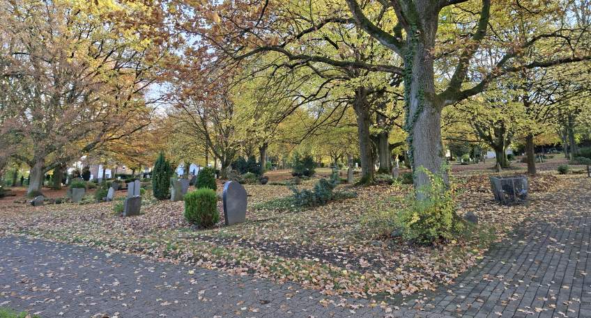 https://www.hallo-luebbecke.de/data/Bildarchiv/2026/202610_Oktober/20261025_hallo_minden_luebbecke_marketing_Herbststimmung_auf_dem_Lubbecker_Friedhof1_Ulrike_Kopper.jpg