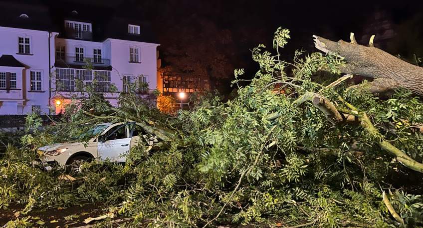 https://www.hallo-luebbecke.de/data/Bildarchiv/2026/202610_Oktober/20261025_hallo_minden_polizei_Tomhallenstrae.jpg