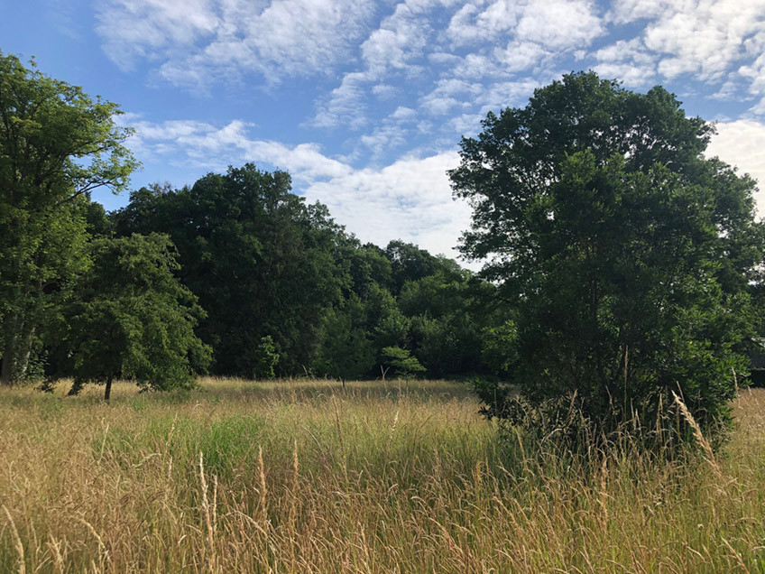 info@schloss-benkhausen.de