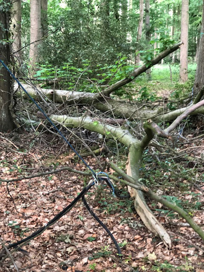 info@schloss-benkhausen.de