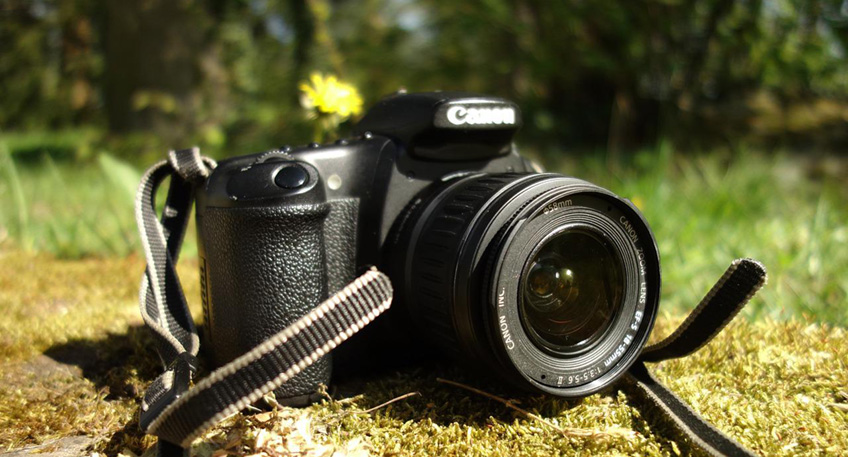 Mit einem gemeinsamen Wettbewerb rufen das Umweltministerium und die Nordrhein-Westfalen-Stiftung Naturschutz, Heimat- und Kulturpflege erneut Fotografinnen und Fotografen dazu auf, Bilder aus der heimischen Natur einzureichen.