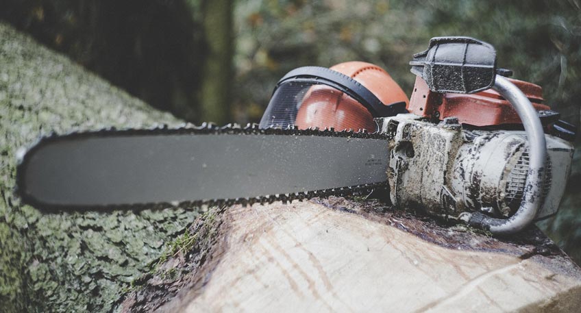 Zwischen Schnathorst und Nettelstedt muss die Bergstra&szlig;e (L803) auf rund vier Kilometern am Samstag, 18. Juni, zwischen 8 und 18 Uhr voll gesperrt werden. Aus Verkehrssicherungsgr&uuml;nden werden mehrere B&auml;ume gef&auml;llt und aus einigen B&auml;umen Totholz entfernt.