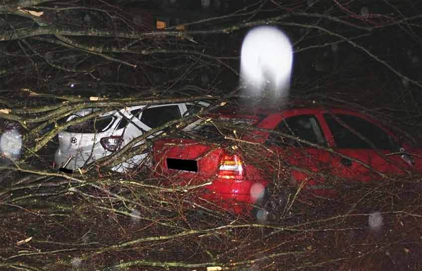 Die zwischen Oberbauerschaft und Obermehnen verlaufende Verbindungsstrecke "Kahle-Wart-Weg" wurde wegen umgest&uuml;rzter B&auml;ume am Sonntagabend gesperrt.