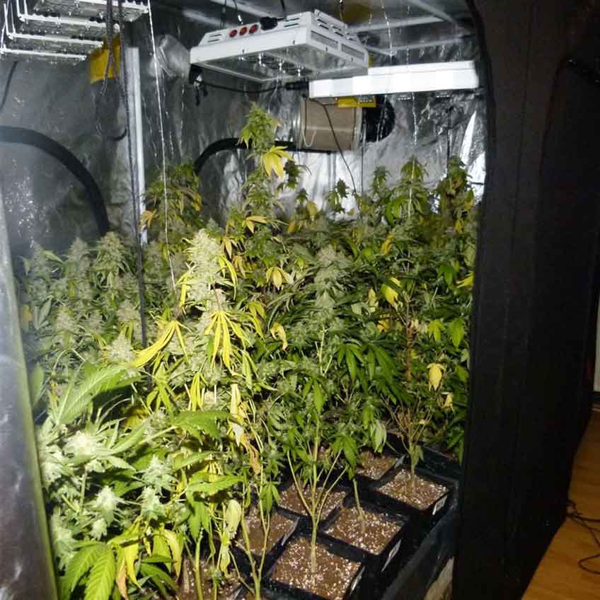 Auf die Spur des 21-J&auml;hrigen war man durch Zeugenhinweise gekommen.