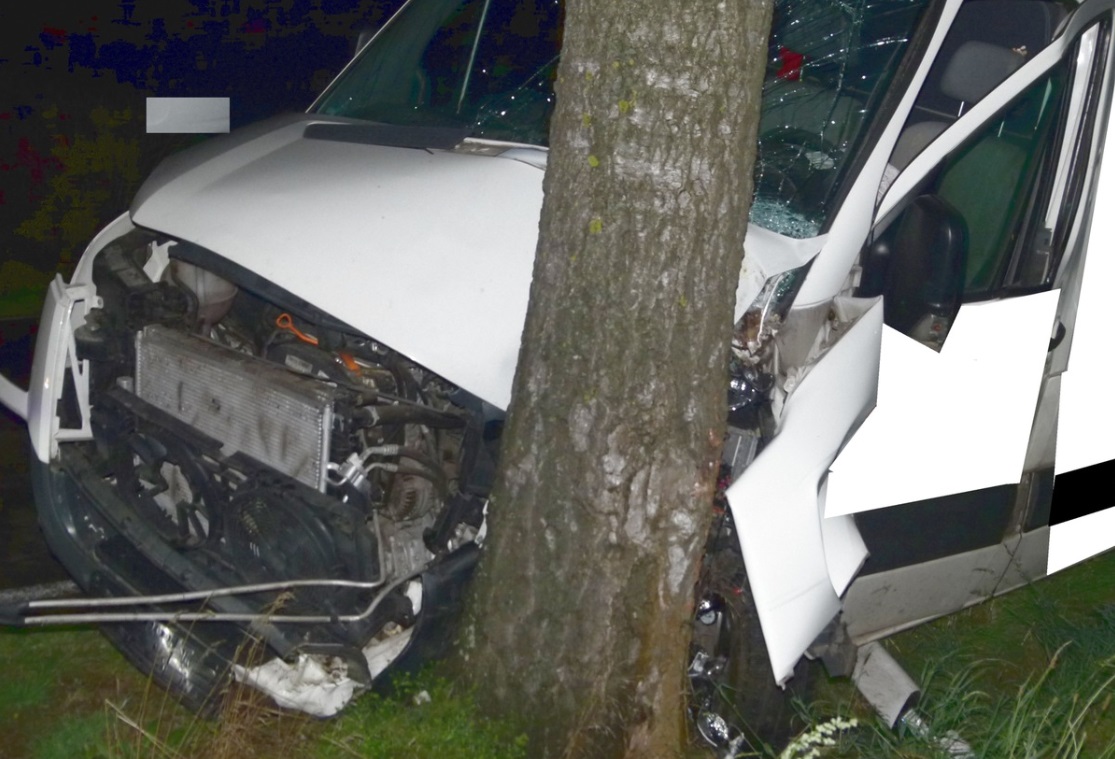 Der Transporter war zuvor offenbar nach links von der Fahrbahn abgekommen und &uuml;ber einen Leitpfosten hinweg gegen einen Stra&szlig;enbaum geprallt.