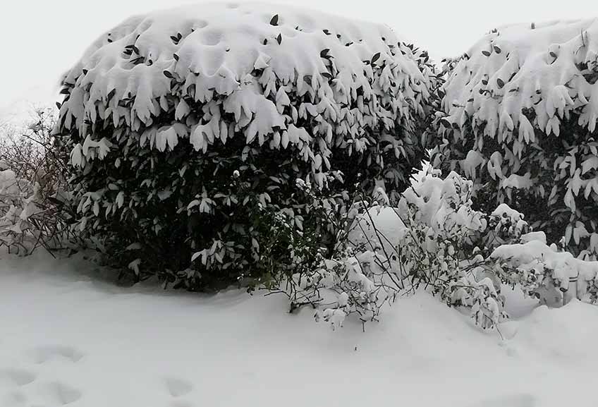 Durch den anhaltenden Schneefall am Montag hat sich die Situation auf den Stra&szlig;en im Kreis Minden-L&uuml;bbecke gegen&uuml;ber dem Vortag kaum ver&auml;ndert.
